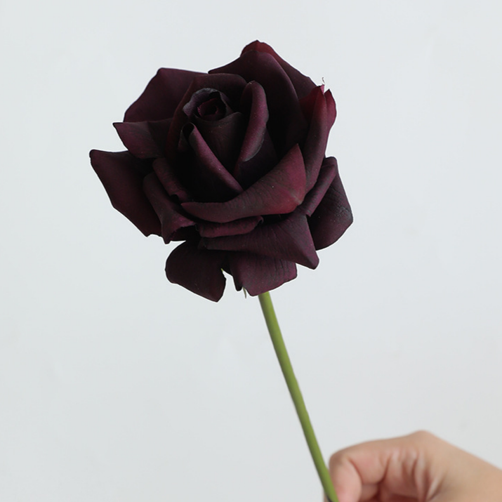 สีม่วงดำ