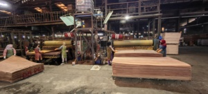 Premium Keruing/Marine 18mm Industrial Pine E0 Plywoods Durable Eco-Friendly Customizable For Bedroom Dining Indonesian-Made For