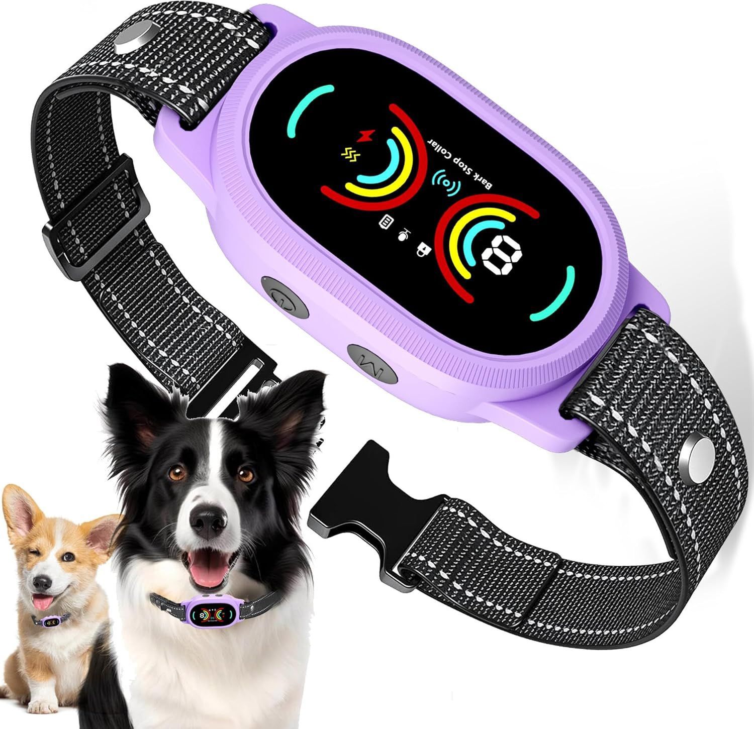 Pd 215-blue-purple