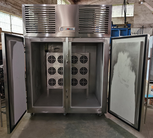 מפעל מחיר אוויר פיצוץ chiller הלם מקפיא 30 מחבתות מהיר מקפיא