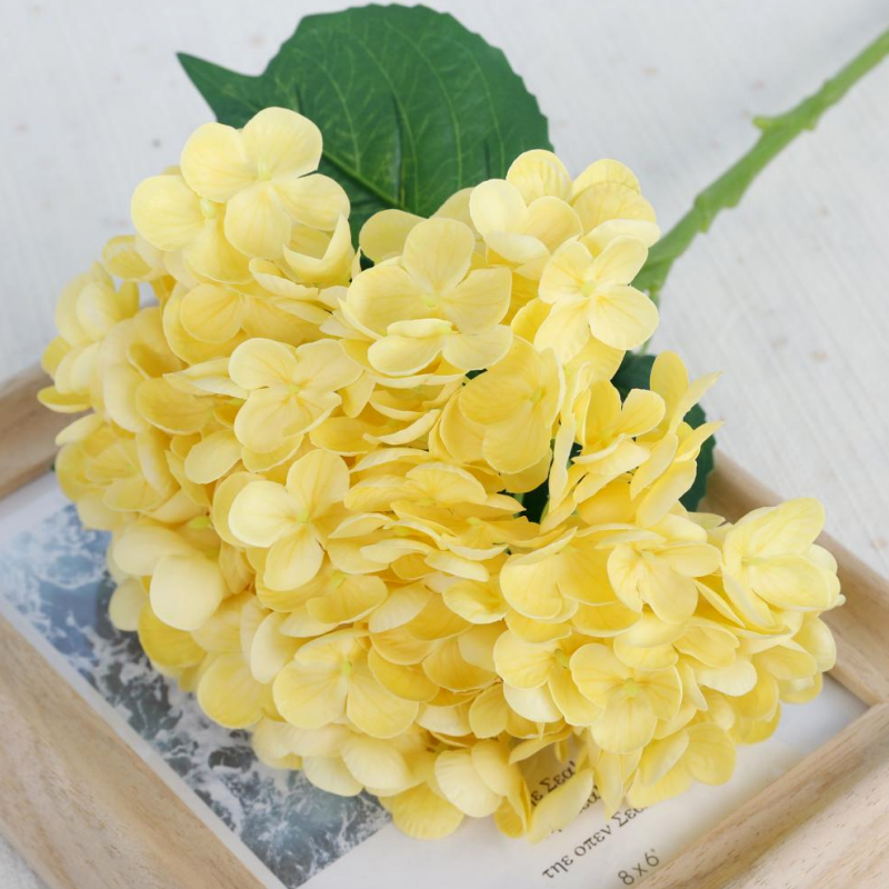 สีเหลือง