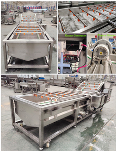 Lavadora automática de frutas de 1000 kgh de alta eficiencia para uso en huertos, naranjas, manzanas, aguacates, mangos y limone - Product Image 4