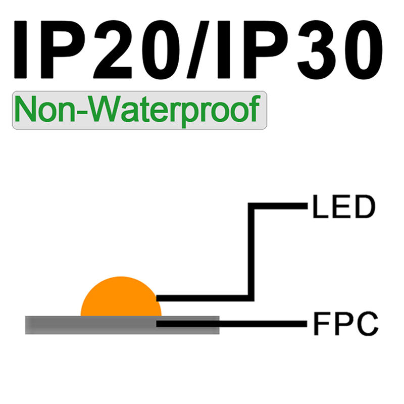 IP20/30