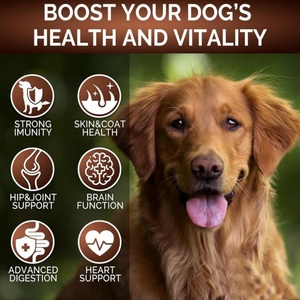 בריאות לחיות מחמד תוספת תמיכה חיסונית טבעית & מגבר בריאות תוספת אבקת פטריות לחיות מחמד לכלבים וחתול - Product Image 3