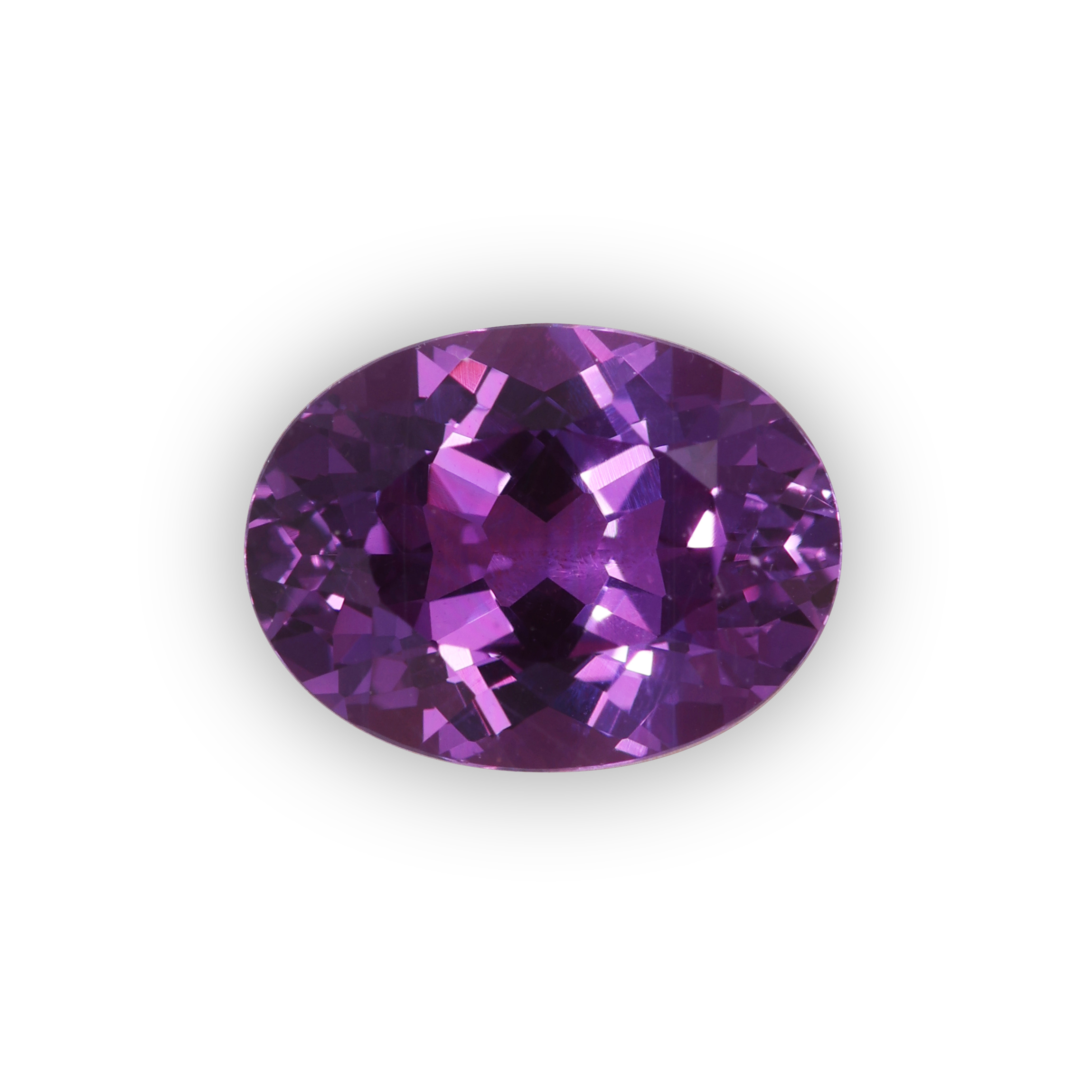 violet /numéro 11