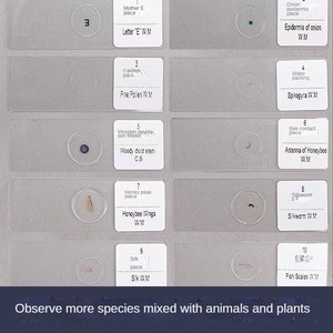 30 tipos de portaobjetos de microscopio, portaobjetos de microscopio para laboratorio, portaobjetos de muestras de vidrio microscópico