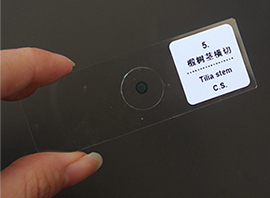 <strong>Microscope</strong> Accessories <strong>Microscope</strong> <strong>Slide</strong> Glass <strong>Slide</strong> 25pcs/box Microslide - Product Image 5