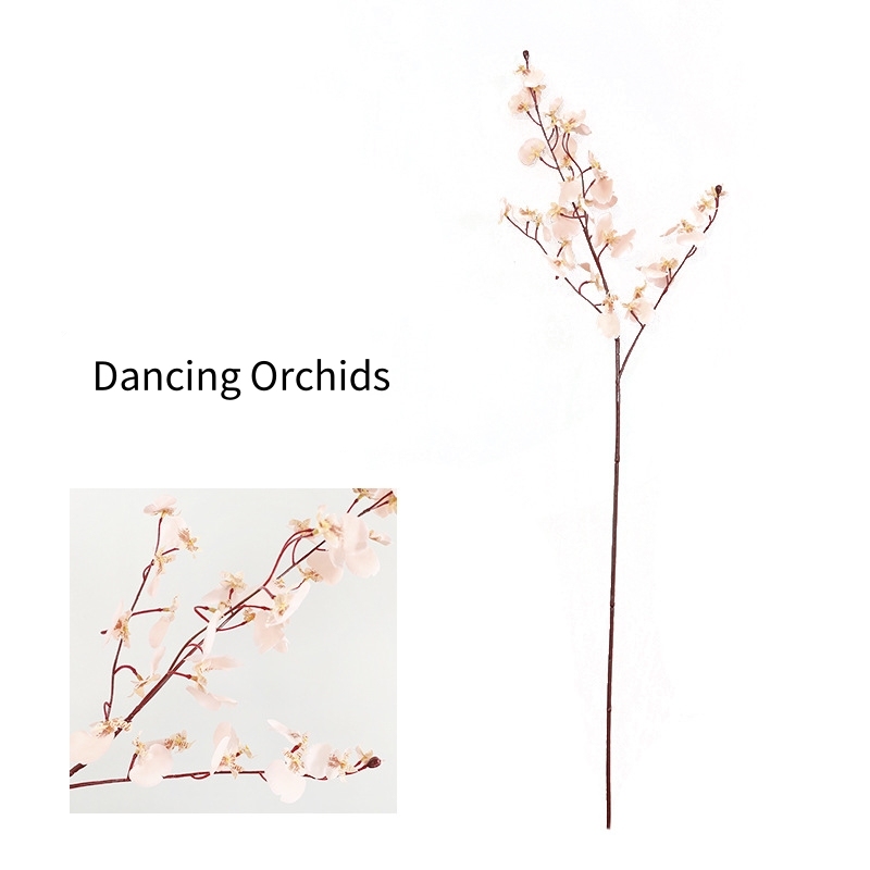 # 4 Orchidée dansante rose