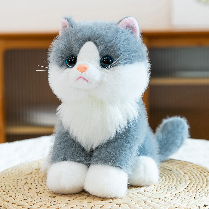 Blue + cat pronunciation device