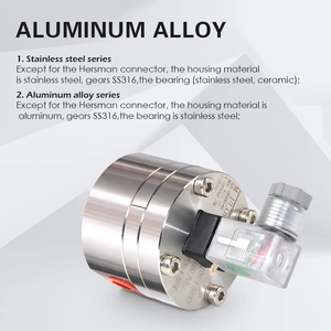 Common Rail Test tezgahı için küçük debimetre mikro Oval dişli debimetre - Product Image 6