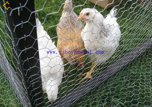 Malla de alambre de pollo, alambre de conejo, malla de alambre hexagonal galvanizado, barato - Product Image 4