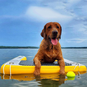 KEAYEE Inflatable Pup Plank Dog <strong>Ramp</strong> Dock Customized Size <strong>Mesh</strong> Bottom Floating Ladder Inflatable Water <strong>Ramp</strong> for Dogs - Product Image 2