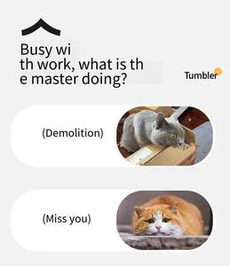 耐用毛绒仿真玩具球滚动鼠耳经典风格猫狗牙齿清洁功能弹跳轨迹设计