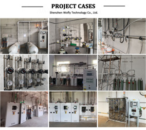 Giai đoạn duy nhất áp suất cao điều chỉnh cho oxy CO2 Helium Nitơ Propane Argon axetylen khí giảm van OEM thương hiệu - Product Image 4