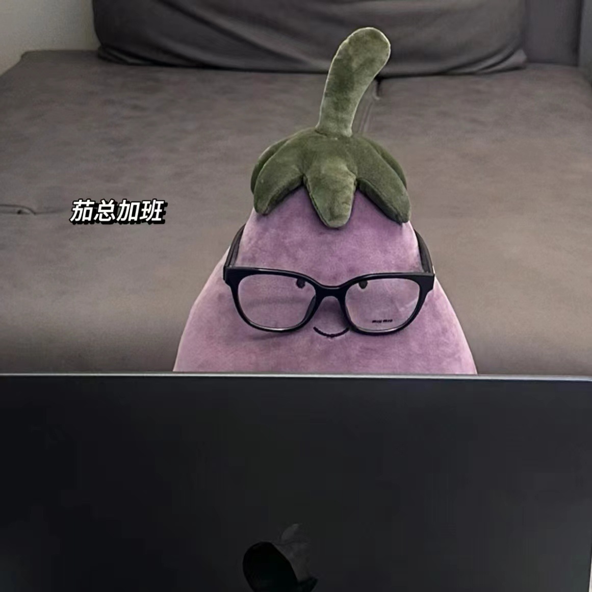 Grosse aubergine