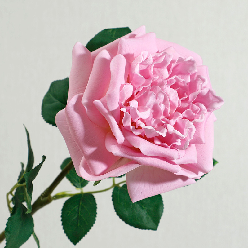 Pink4