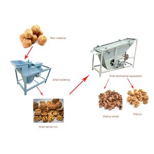 Multifunctional Nut Almond Hazelnut <strong>Sorting</strong> <strong>Machine</strong> Cashew <strong>Kernel</strong> Grading <strong>Machine</strong> Commercial Walnut Sheller Line - Product Image 6