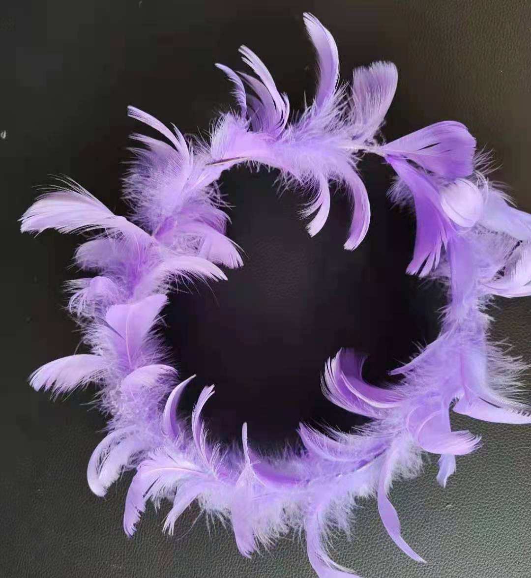 โคมไฟขนนกสีม่วง