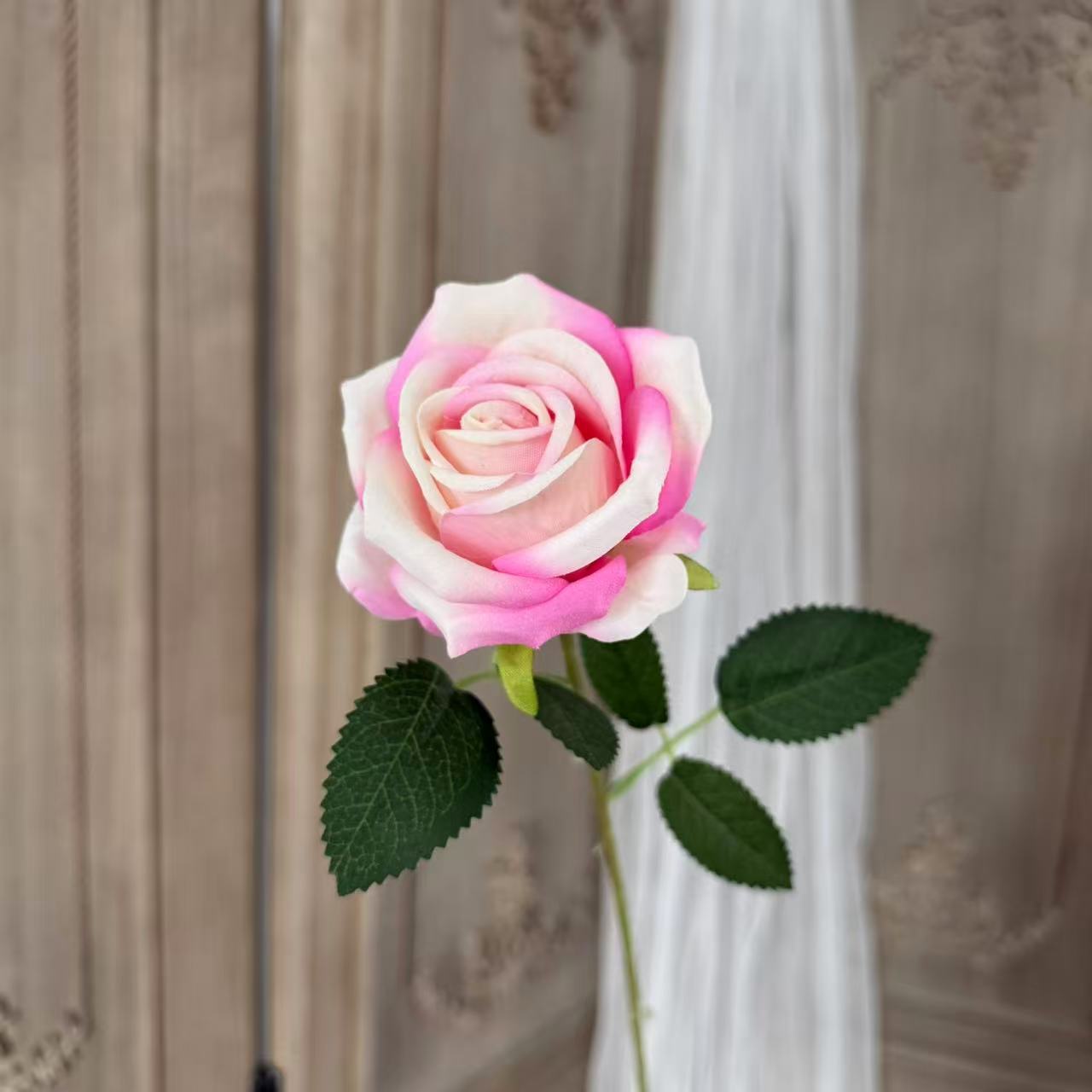 Rosa