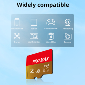 Bán buôn thẻ nhớ TF thẻ 2 GB SD thẻ 2 GB cho MP3 GPS máy ảnh điện thoại di động - Product Image 5