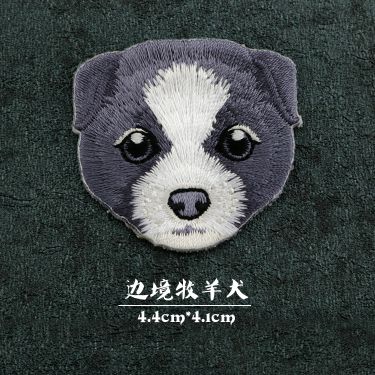 5#BORDER COLLIE