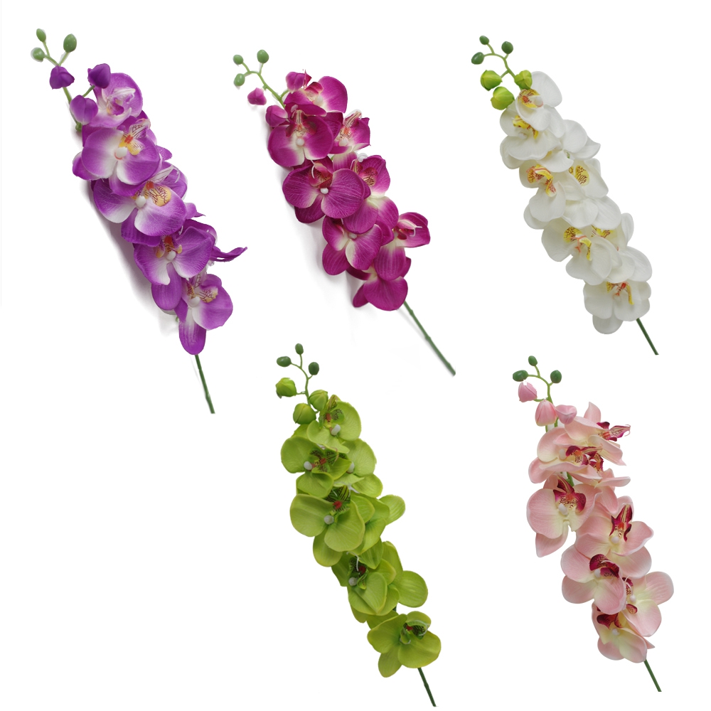 Different colors for your option