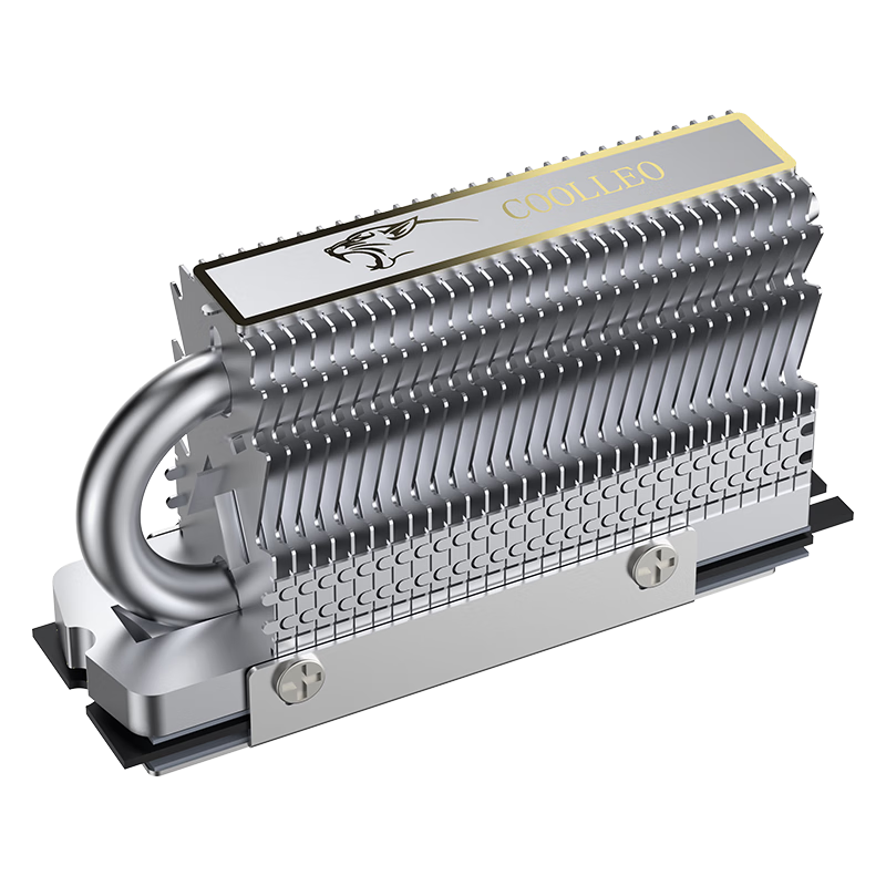 CL-V1 plata