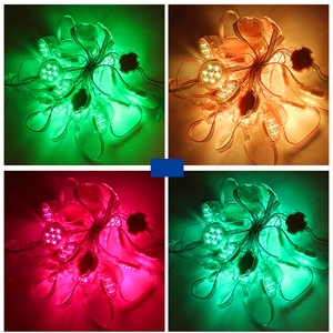 Ws2811 Pixel Ip68 wasserdichte 5V 12V 10MM Rgb Led Ws2811 Pixel Led-Lichtkette - Product Image 2