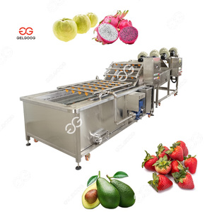 自动输送机送料连续刷气泡清洗分选果蔬清洗干燥机 - Product Image 2
