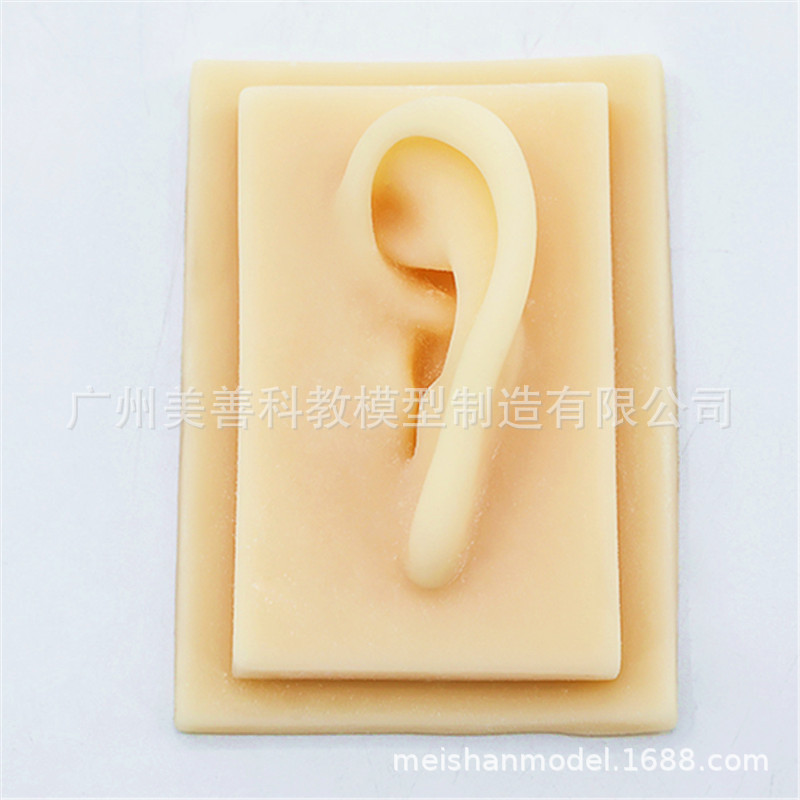 Une oreille en silicone (oreille gauche)