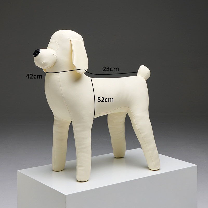 Caniche blanc GB