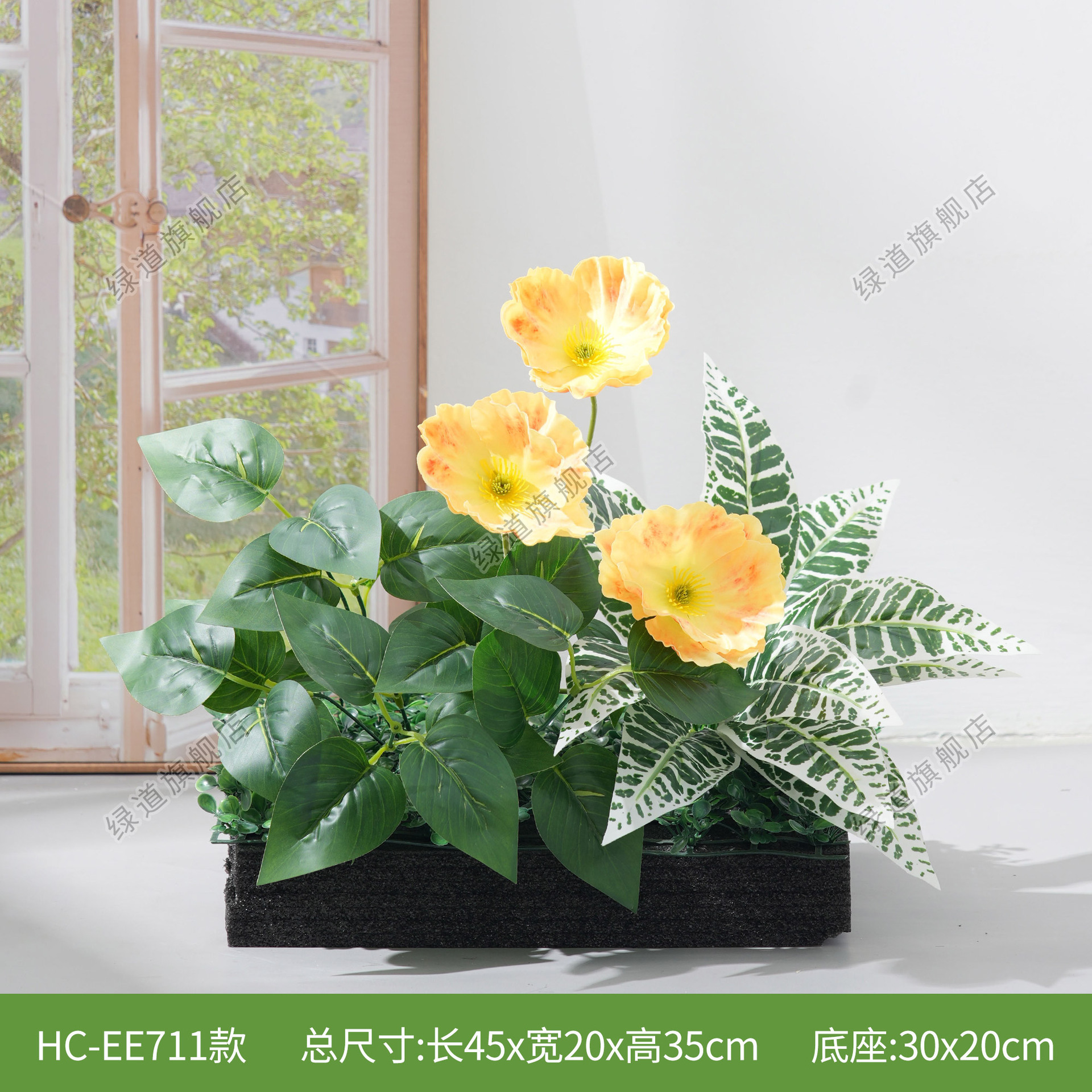HC-EE711