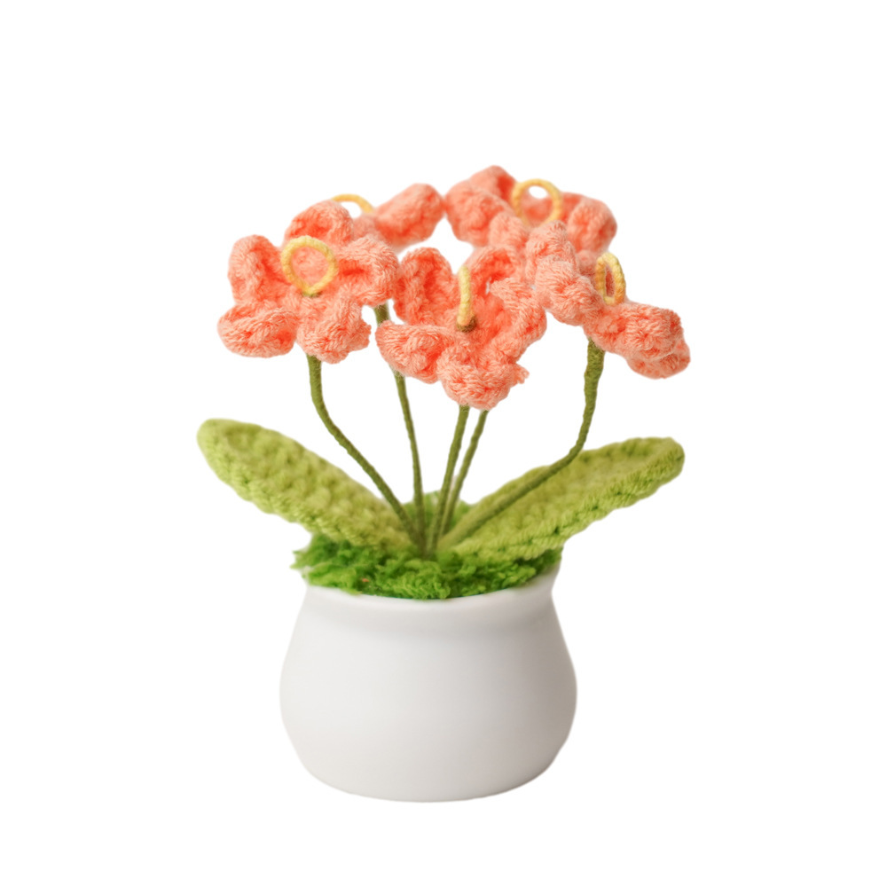 Bonsaï myosotis orange clair