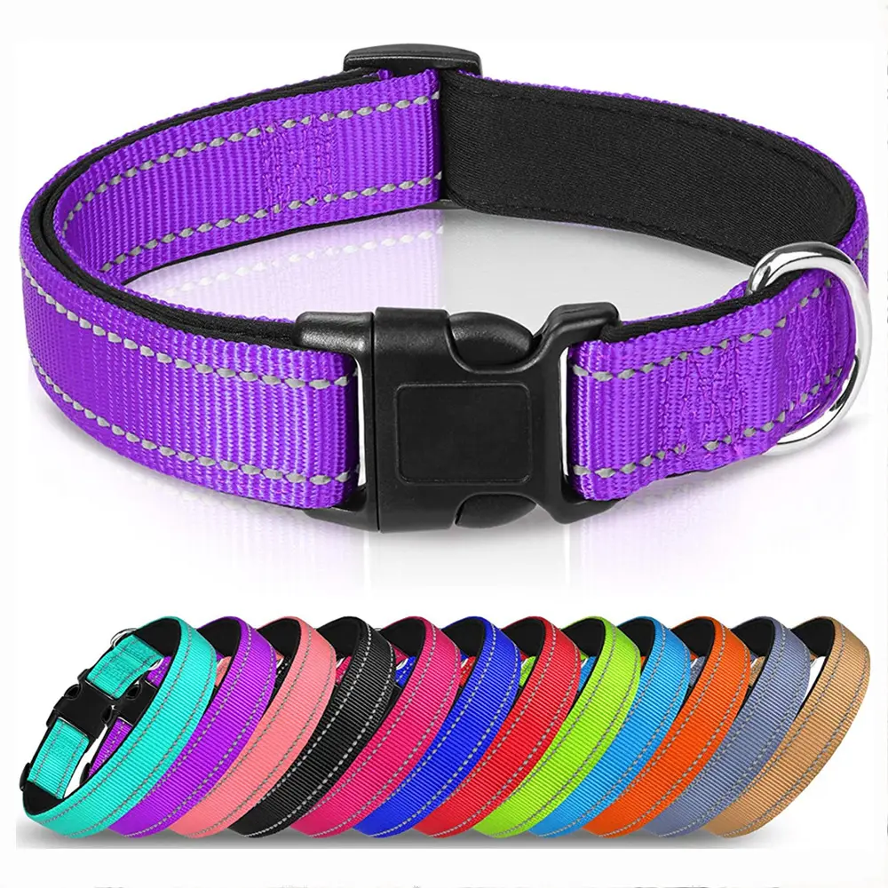 Multi-color Customized High quality Reflective nylon dog collar with Safety lock
