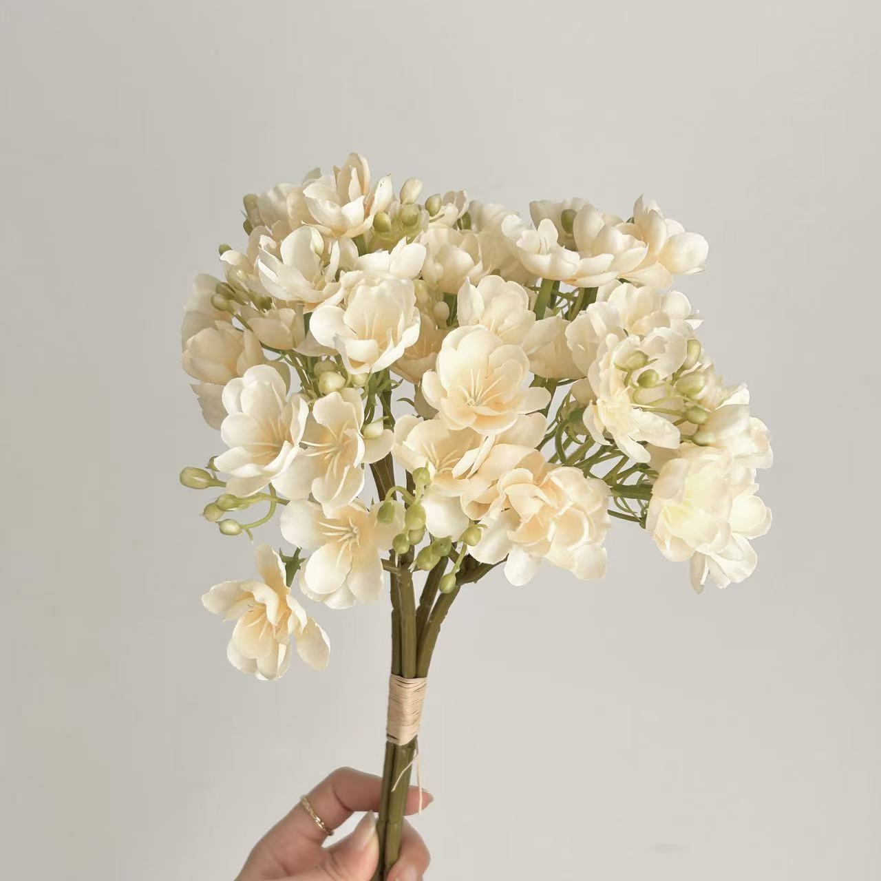 Champagne Blanc-4pcs
