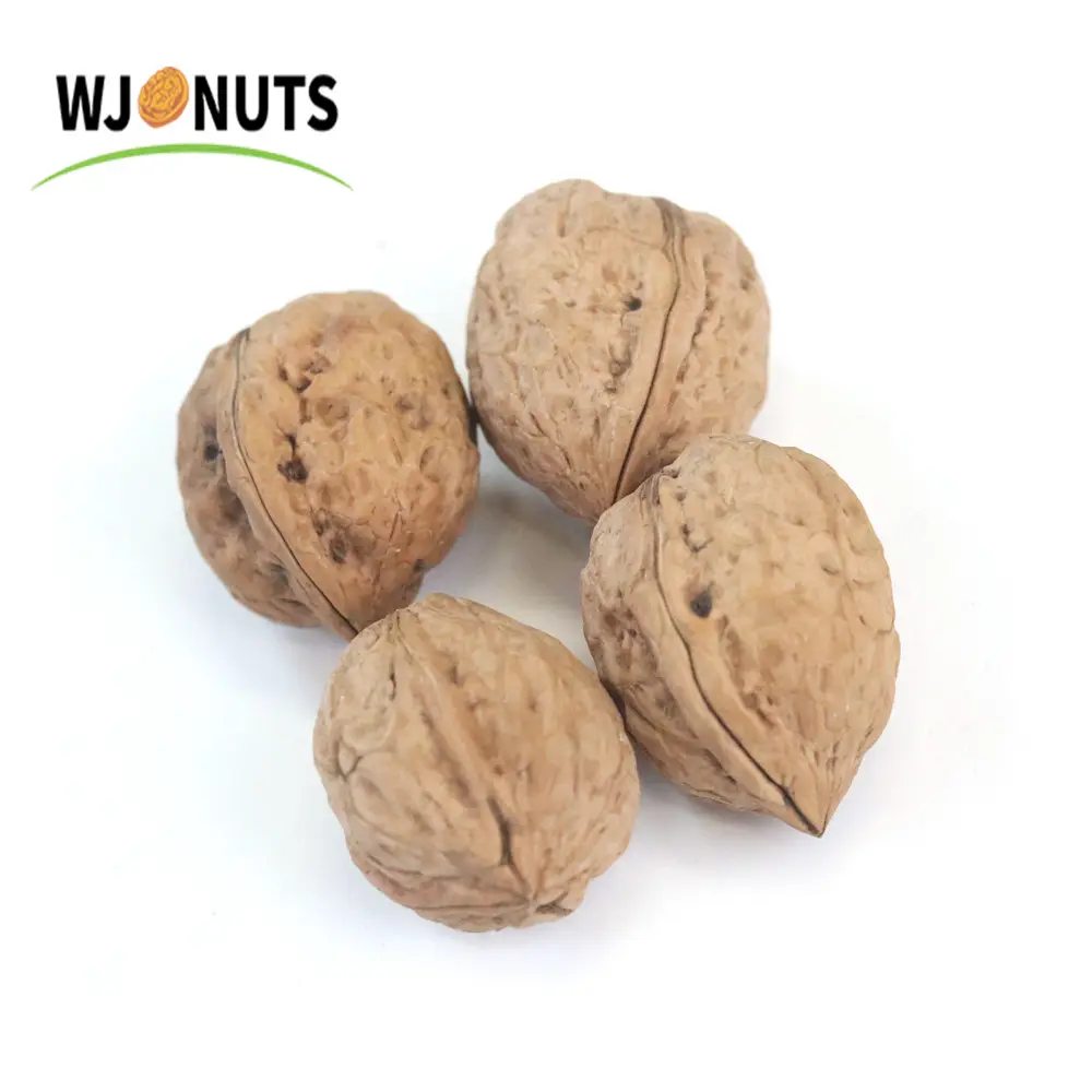China wholesale xinfeng walnut import xinjiang wallnut walnut