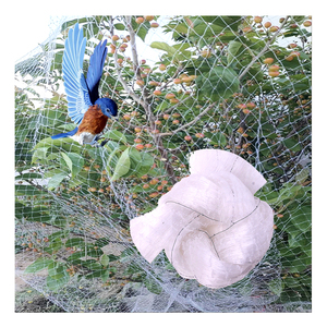 Farm Orchard Fruit Tree Bush Mango Cherry Tree Grape Vine Fruit Tree Protection 25mm*25mm Mesh Size White Anti <strong>Bird</strong> Net