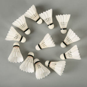 Sınıf A kaz tüyü badminton tüy uçak raketle <span class=keywords><strong>eg1130</strong></span>