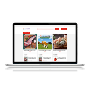 B2B E-Commerce Website-Entwicklung Webdesign-Entwicklung Android IOS Mobile Apps Linux DOS