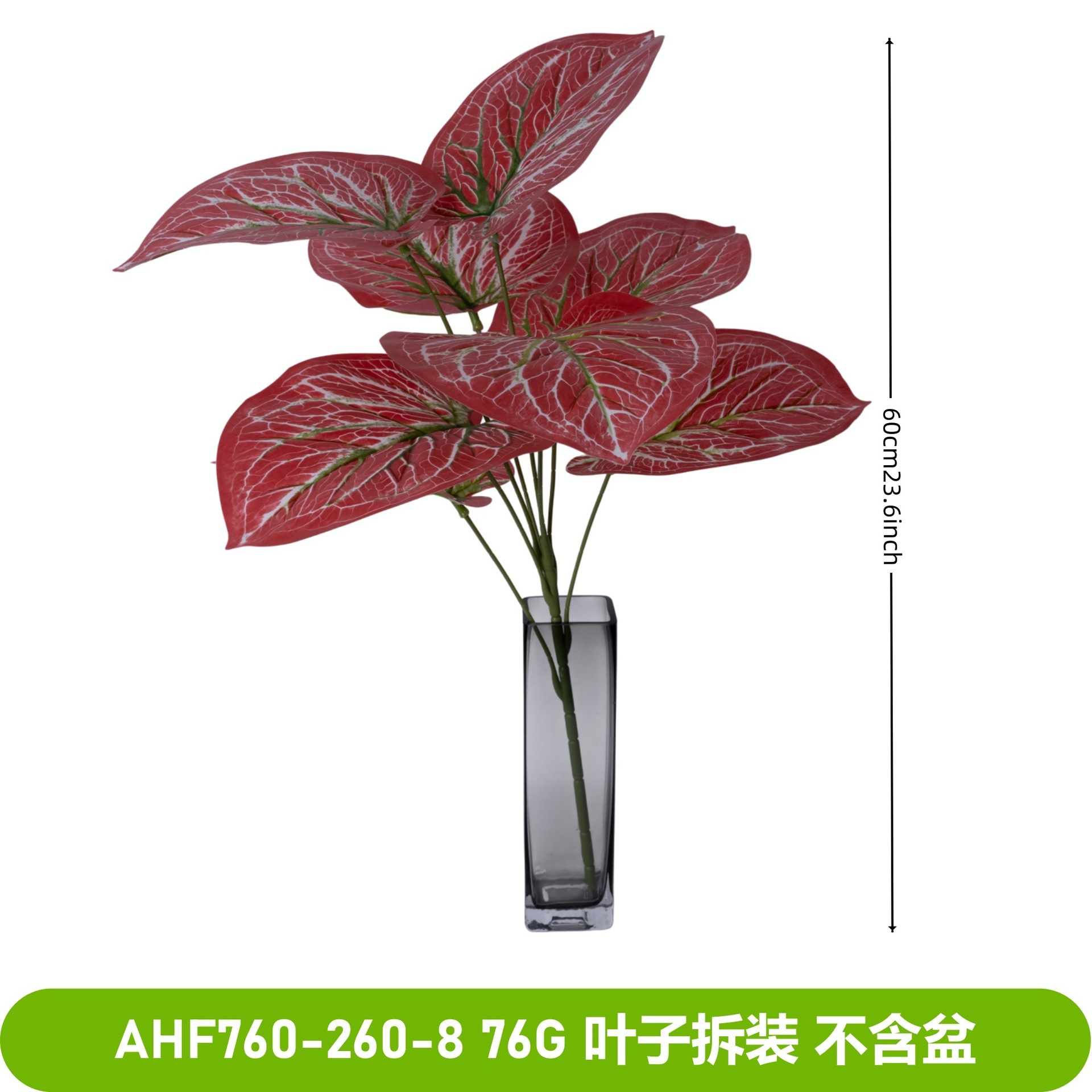 Radis filet rose