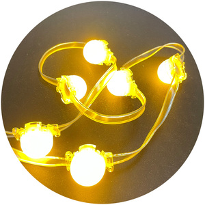 Led segnaletica DC12V 30CM 40CM 50CM rgb singolo colore RGBIC RGBW DMX512 punto sorgente luminosa led modulo per canale lettera segno - Product Image 3