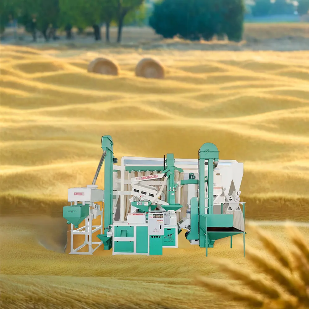 Máquina descascadora de arroz e cevada profissional Mini 1000-1300 kg/h para descascar a cevada