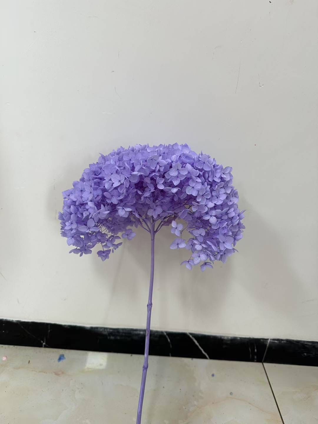 Bleu violet