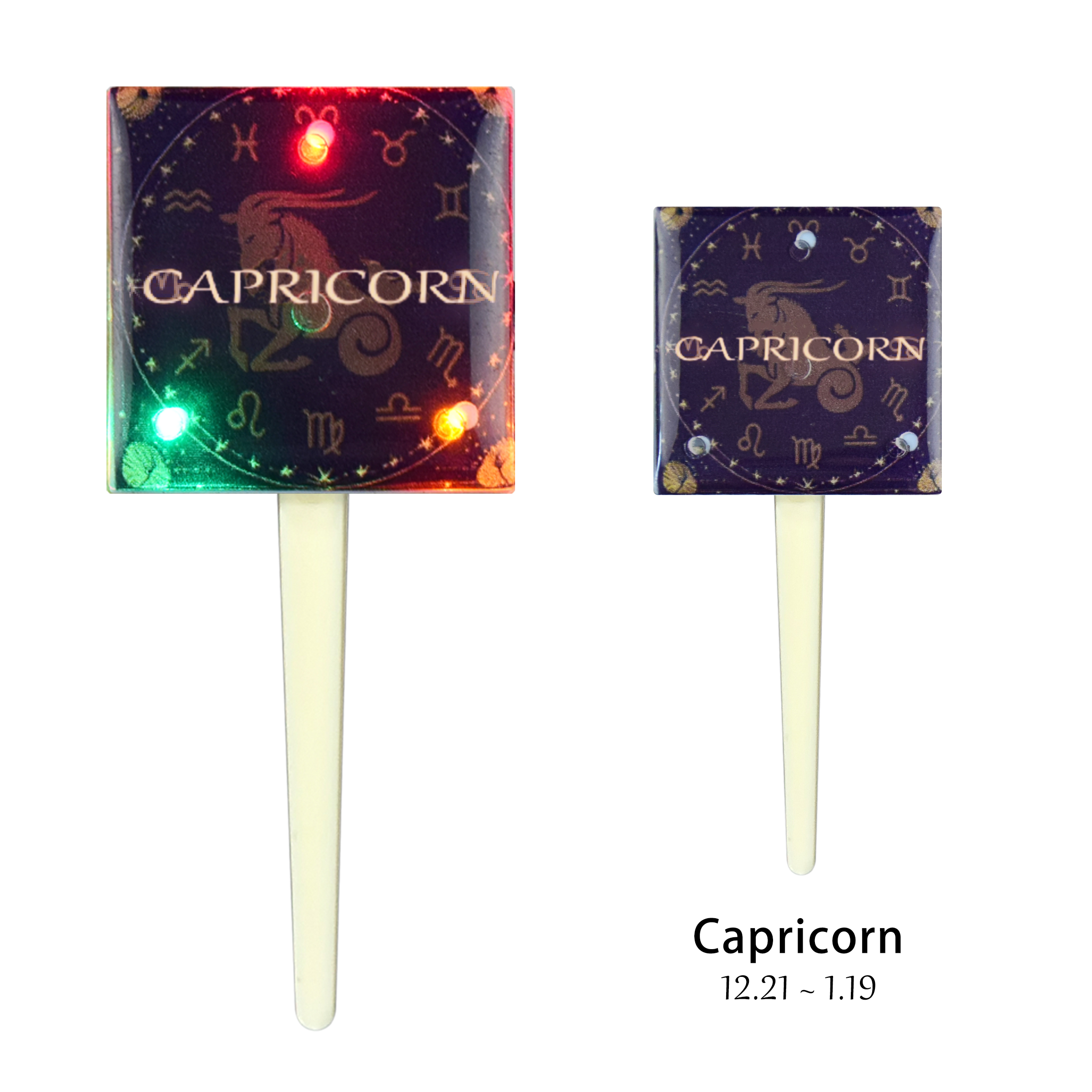 Capricorne