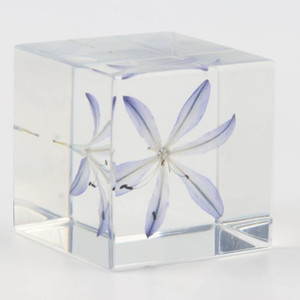 Tùy Chỉnh Nhúng Khô Hoa Nhựa Cube Cho Bàn Trang Trí 6 Sided Tăng Bên Trong <span class=keywords><strong>Acrylic</strong></span> Khối Chặn Giấy Kinh Doanh Quà Tặng Lưu Niệm - Product Image 4