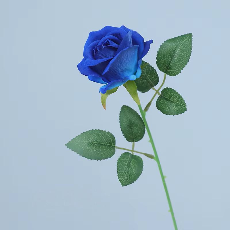 Blu reale