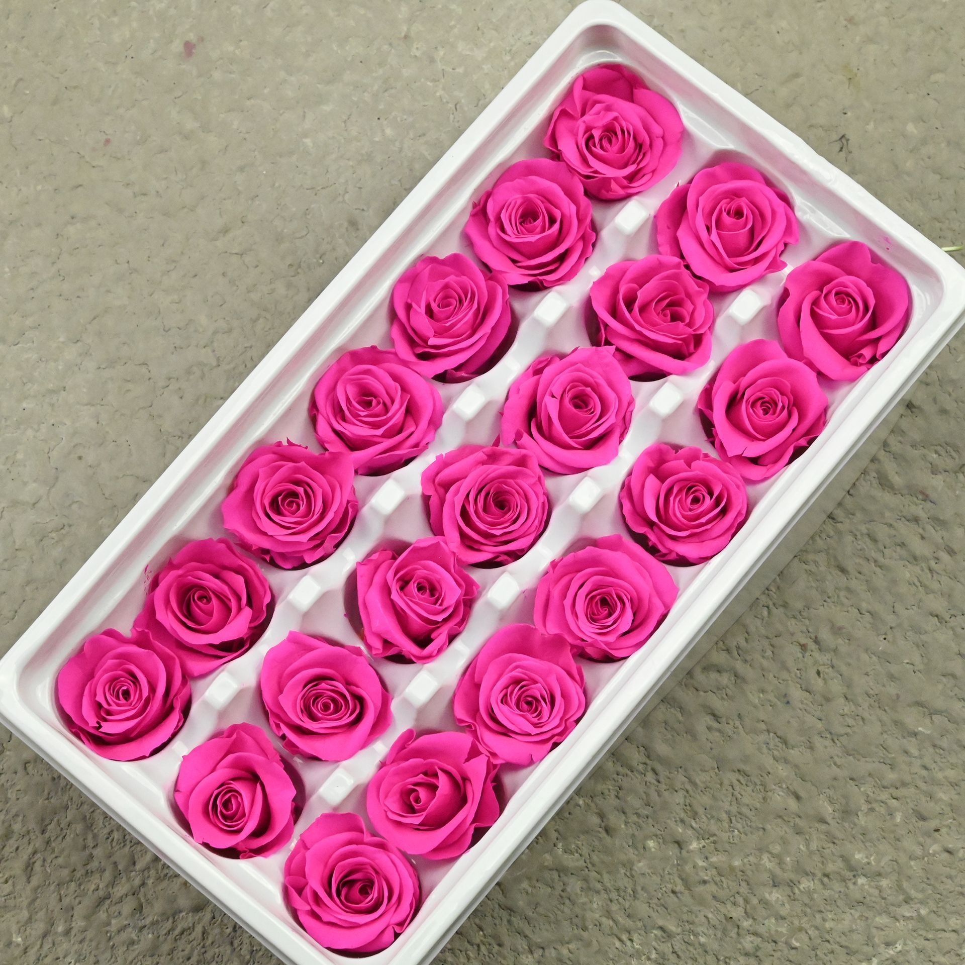 B mei 2-3 rose red-21 or 24