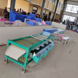 Muti-function automatico Sorter di patate di frutta fresca smistamento di datteri rossi linea di produzione di selezione di noci - Product Image 6