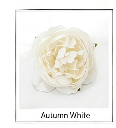 1-Blanco Otoño