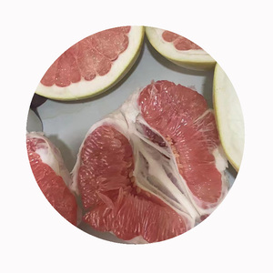 Bưởi shatian từ nguồn gốc | Chất lượng hạng nhất | cung cấp xuất khẩu số lượng lớn - Product Image 4